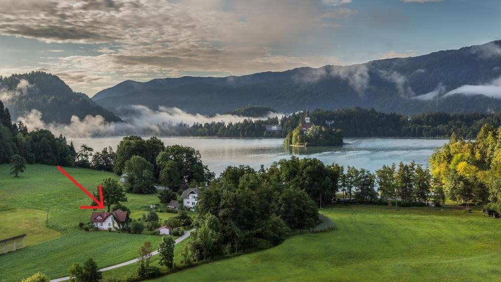 Homestay Vito 3 Bled Zewnętrze zdjęcie